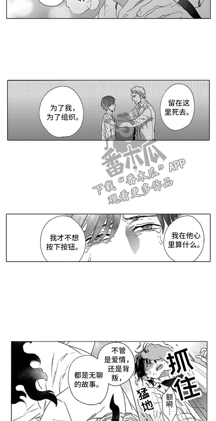 第13章：试验6