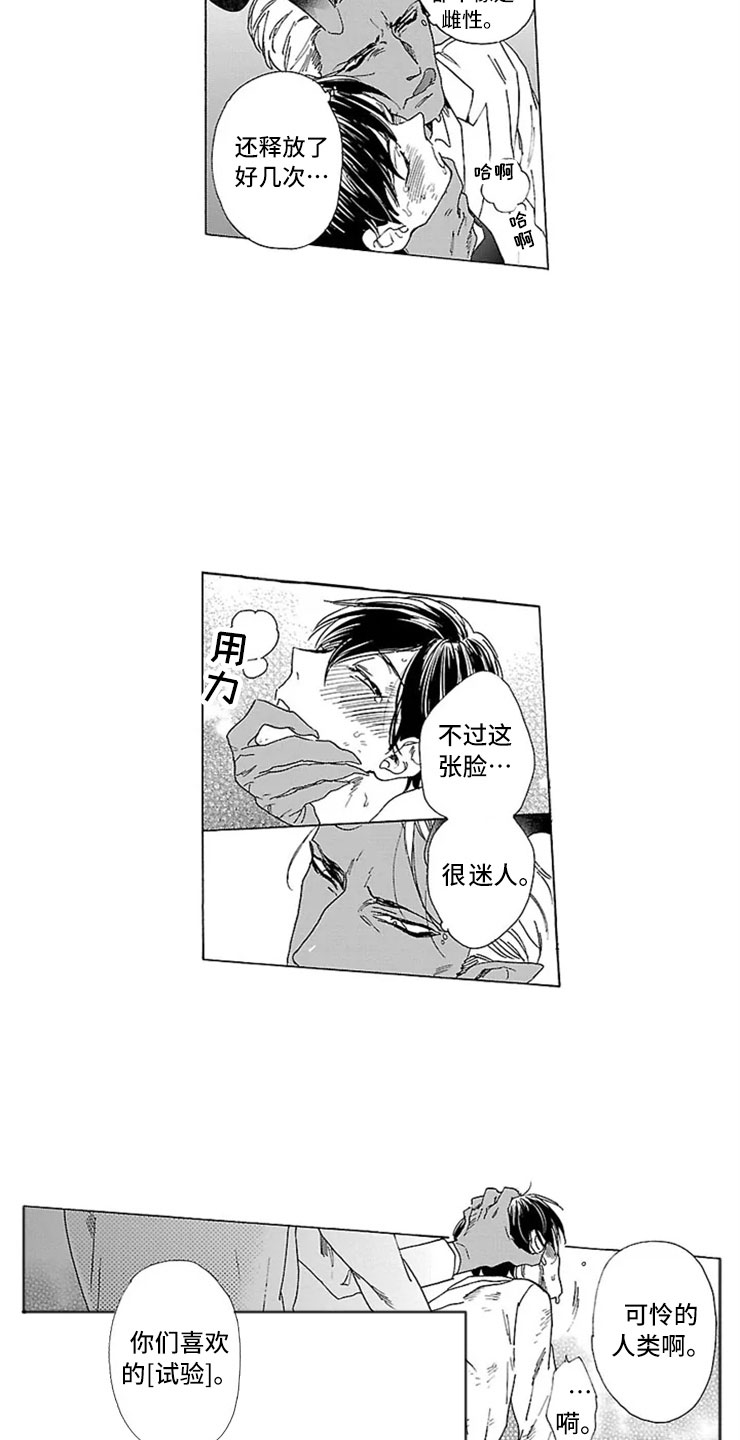 第13章：试验13