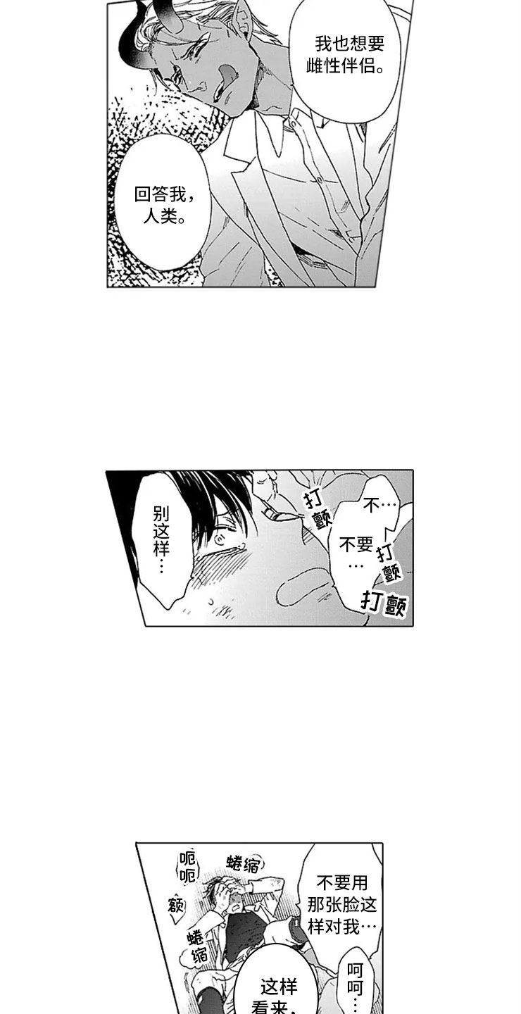 第13章：试验8