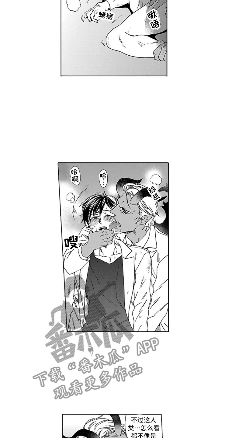 第13章：试验12