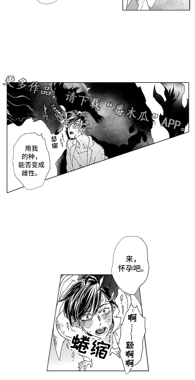 第13章：试验14