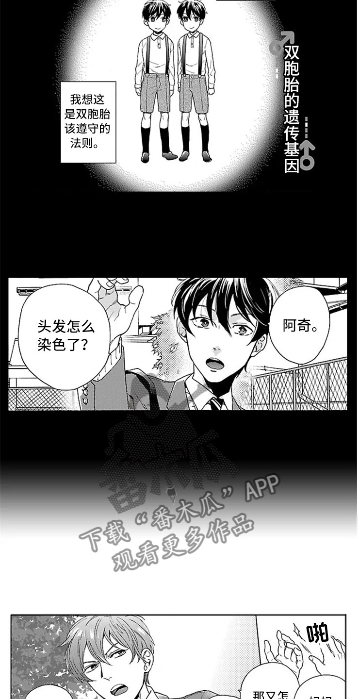 第5章：双胞胎兄弟4