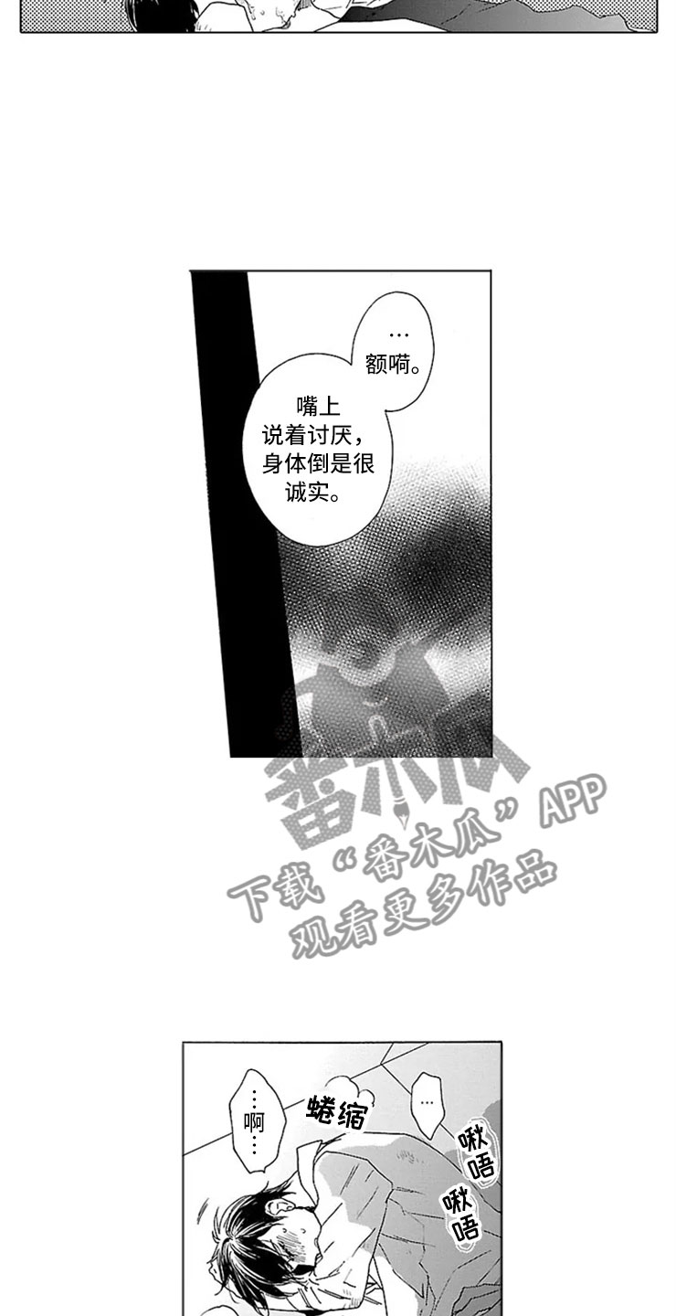第13章：试验11