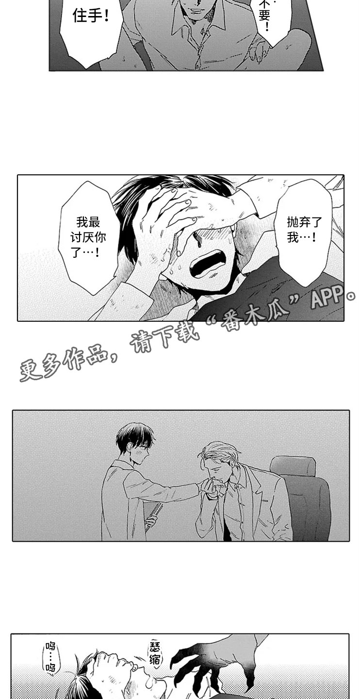 第13章：试验10