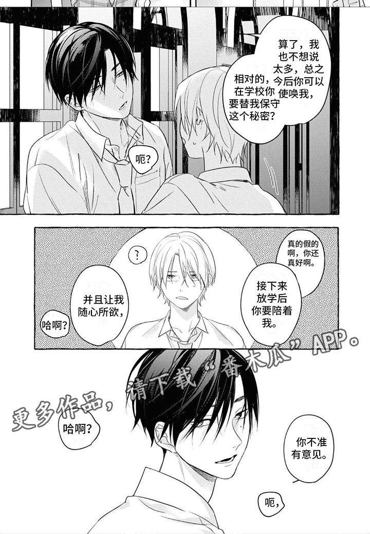 第5章：条件5