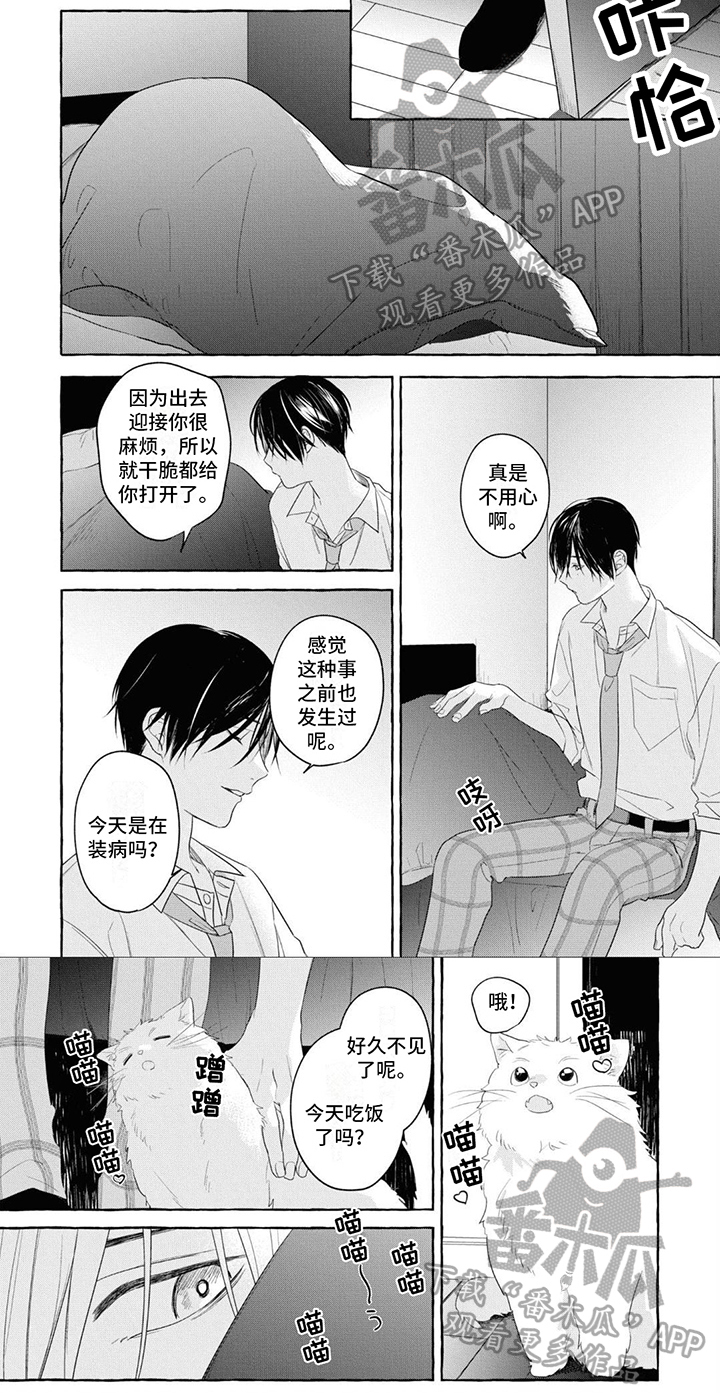 第15章：真正的恋爱5