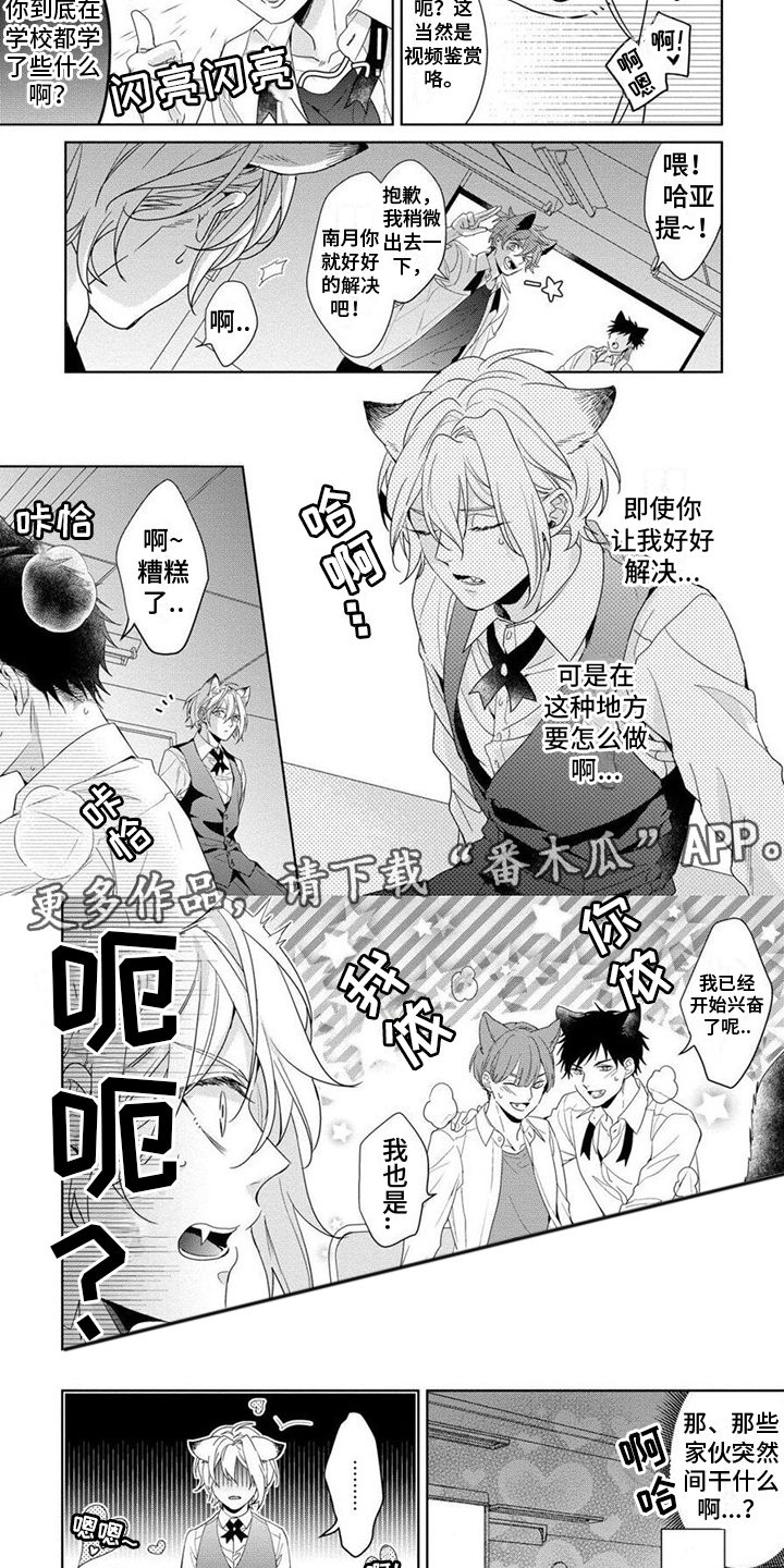 第7章：特殊训练3