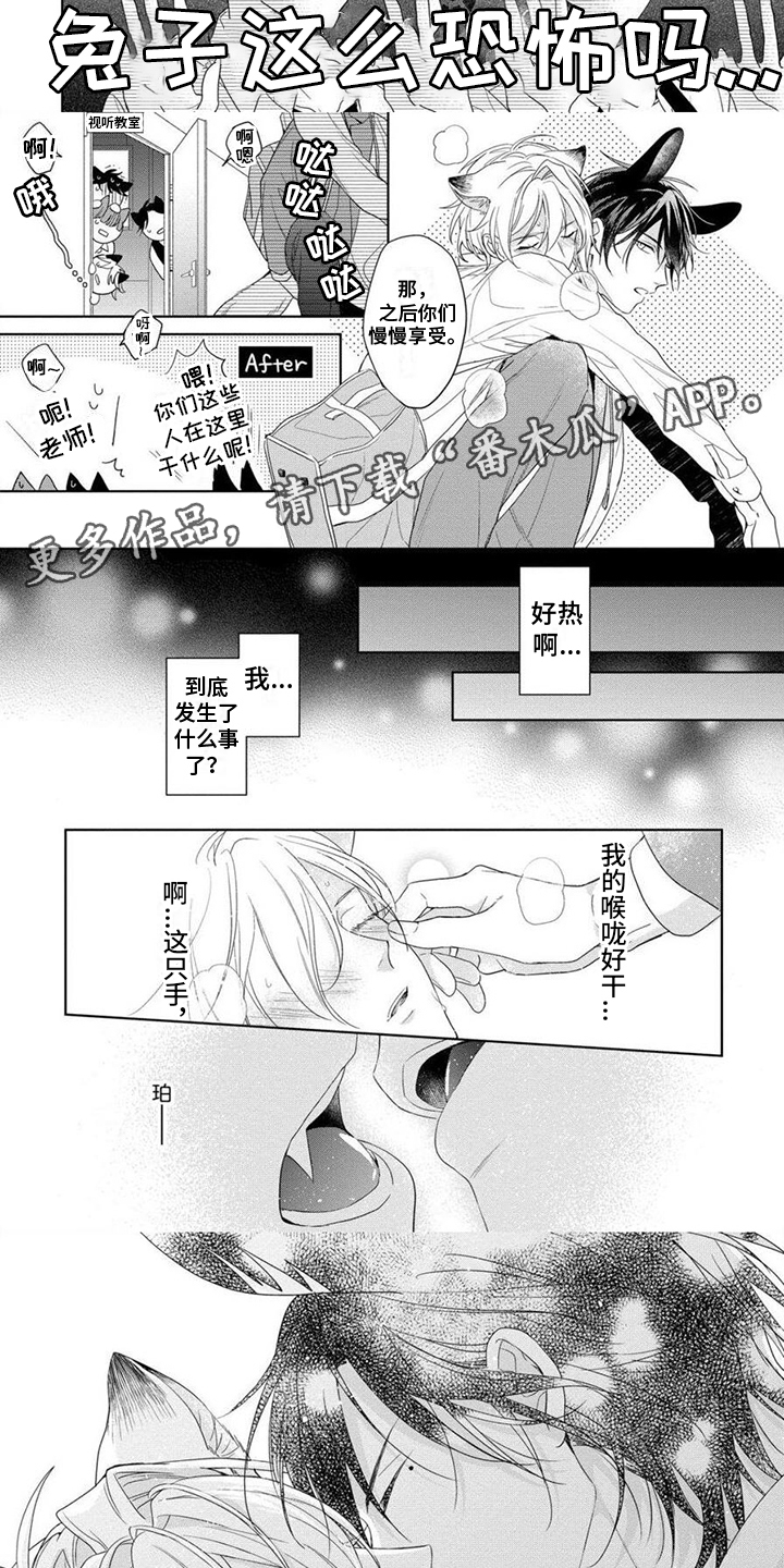 第8章： 发火4