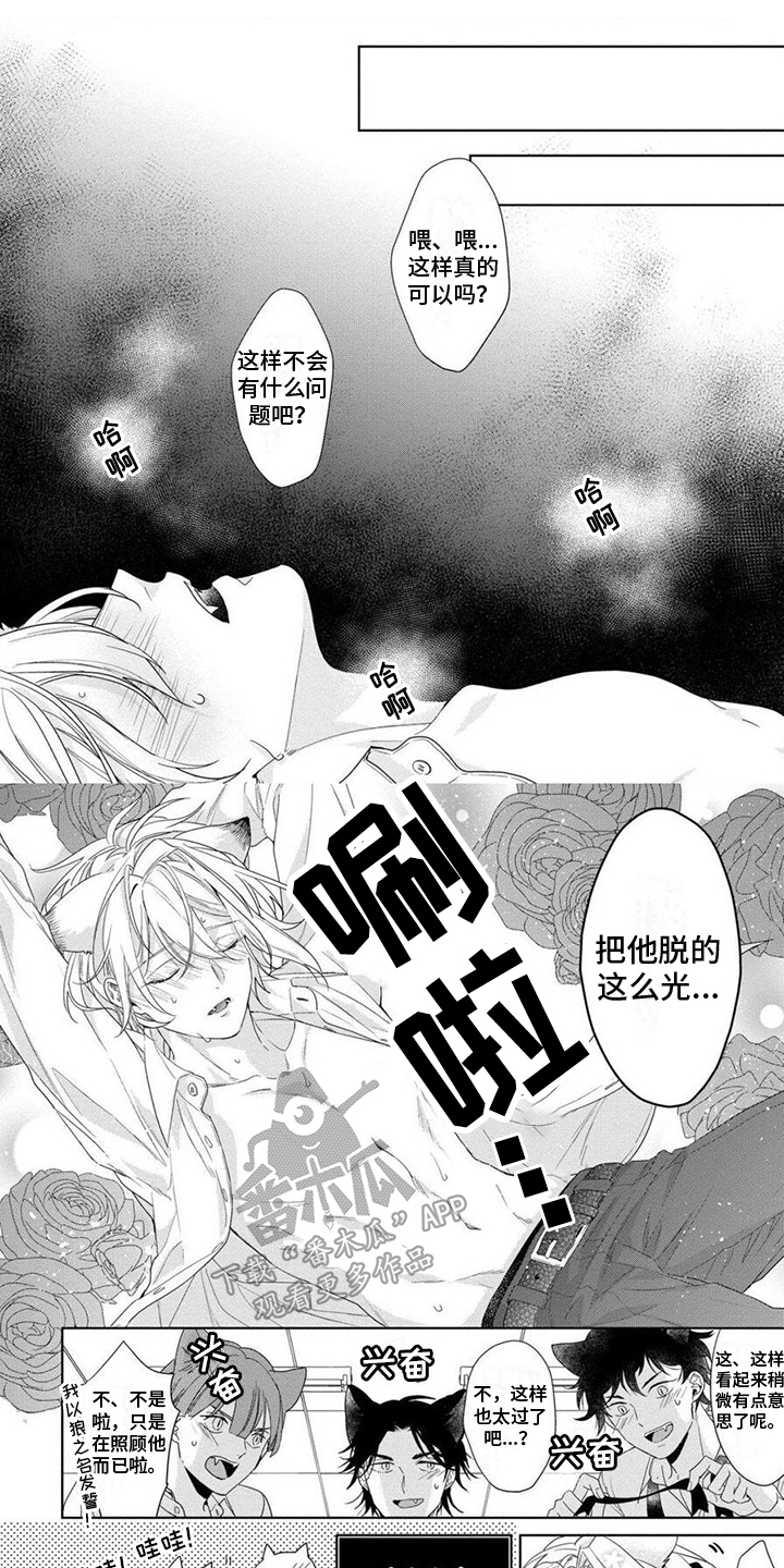 第8章： 发火0
