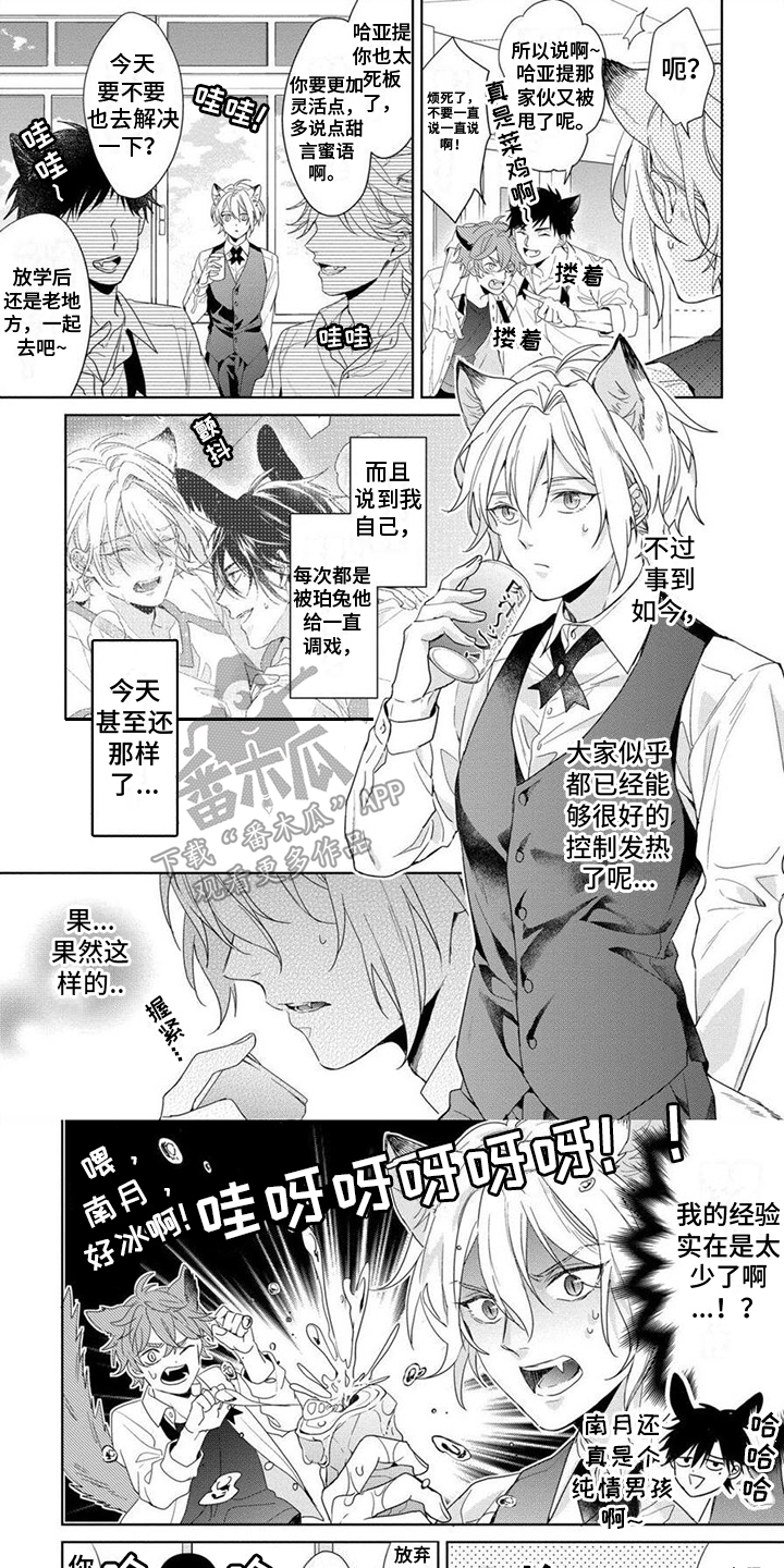 第7章：特殊训练0