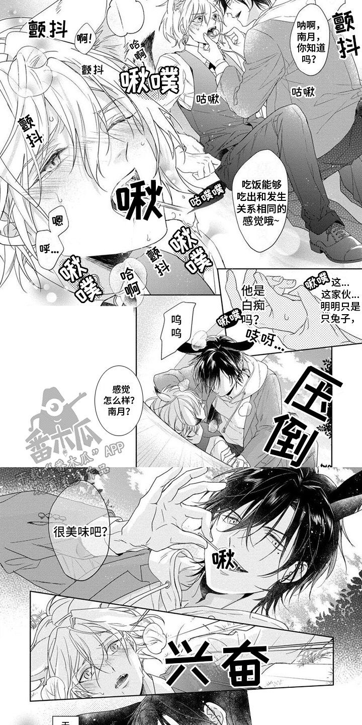 第4章：棒棒糖4
