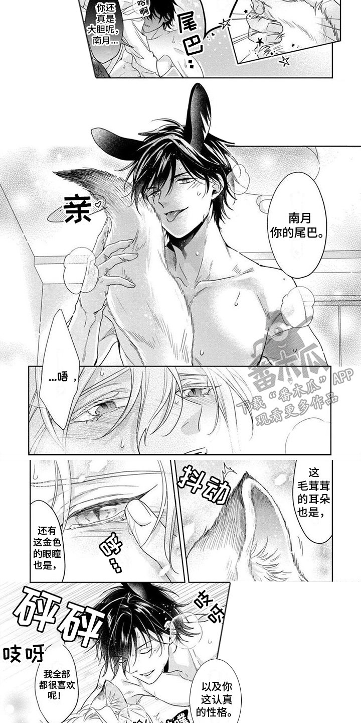第15章：仔细品尝4