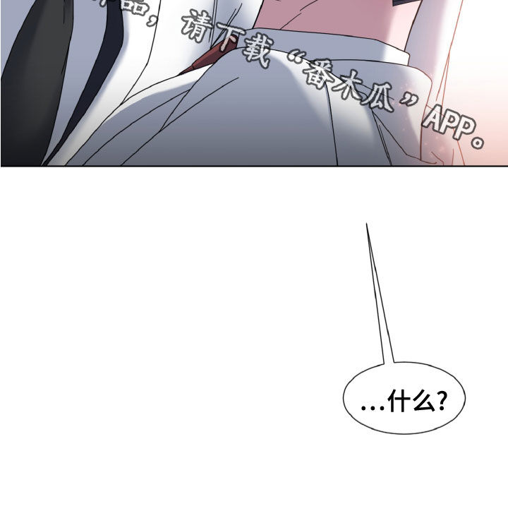 第30章：视察23