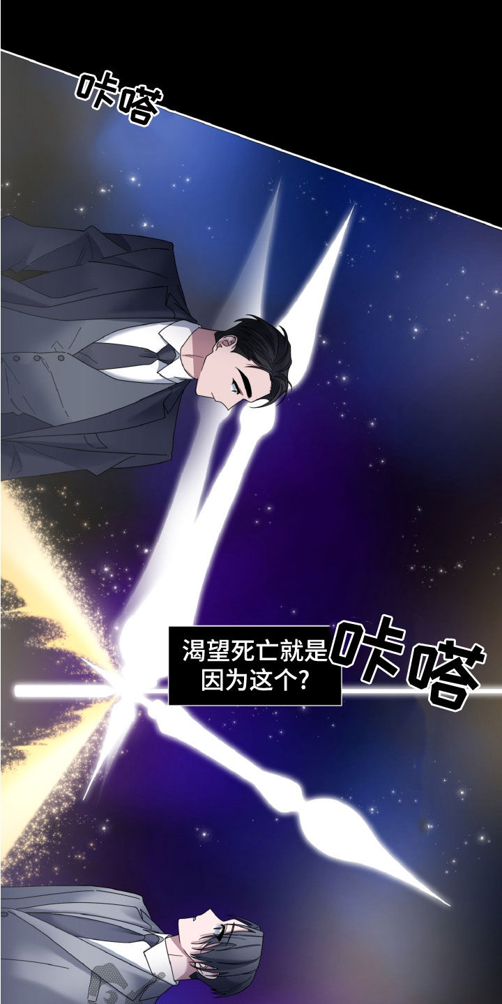 第30章：视察17