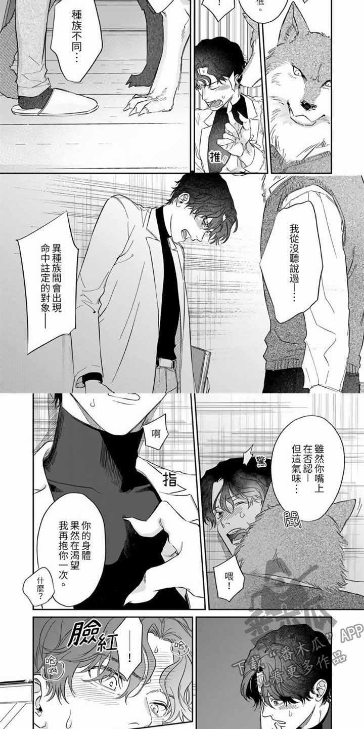 第4章：命中注定3