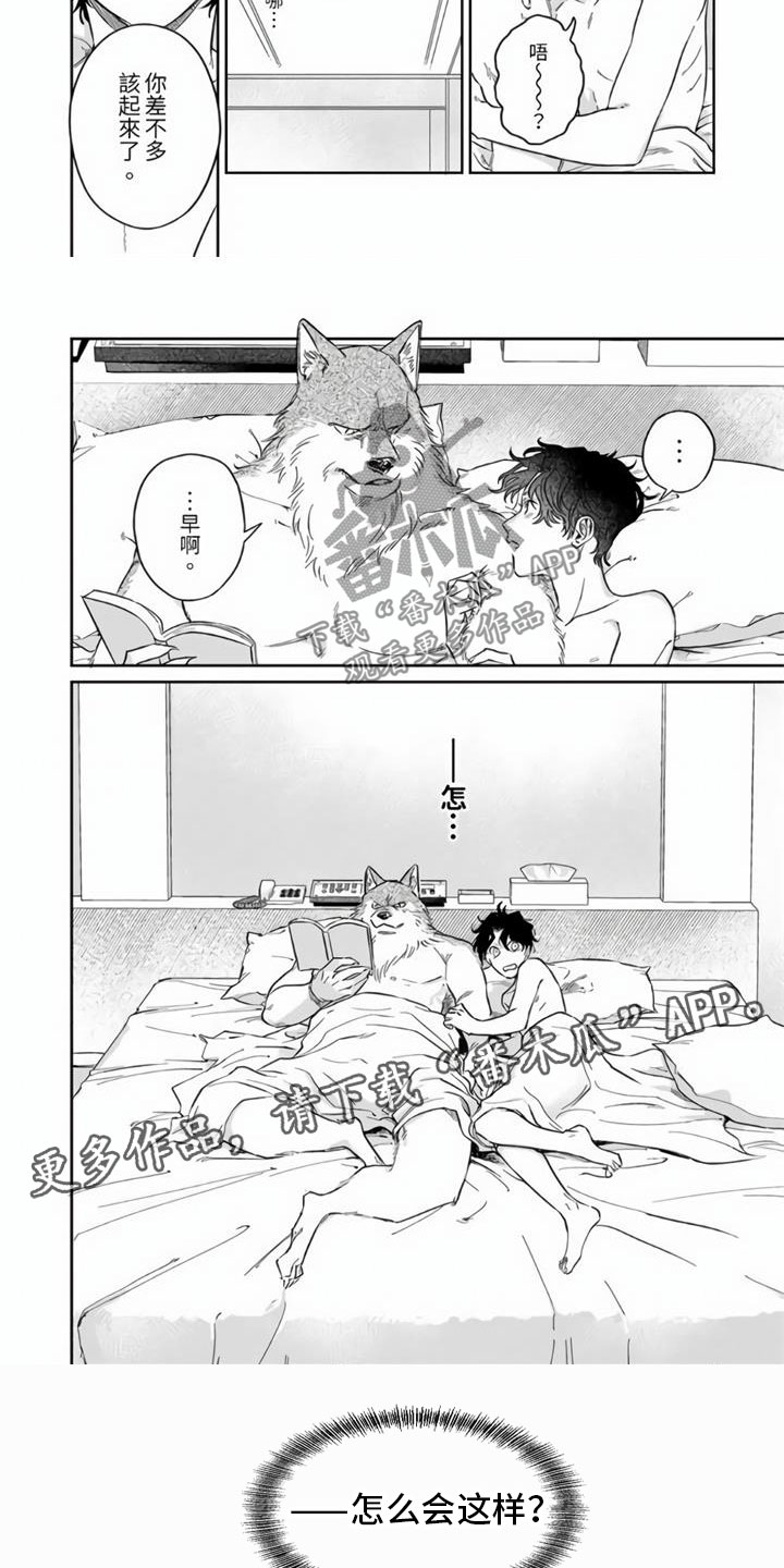 第4章：命中注定6