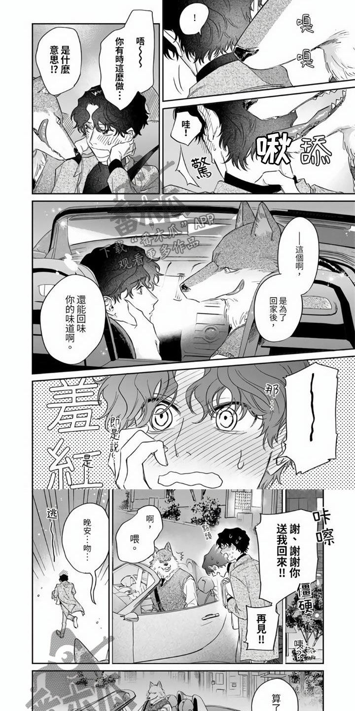 第8章：可爱的味道5