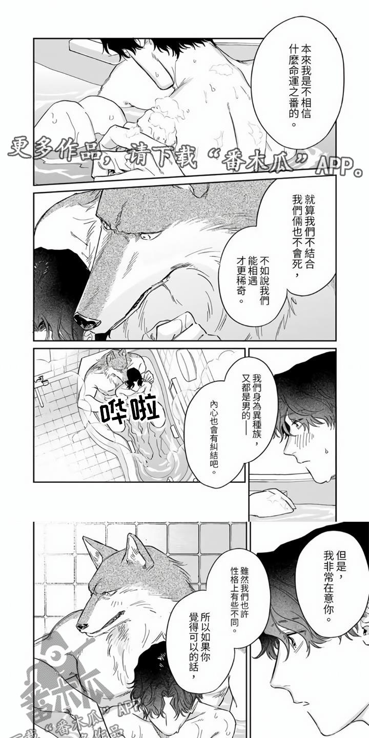 第6章：要成为番吗？0