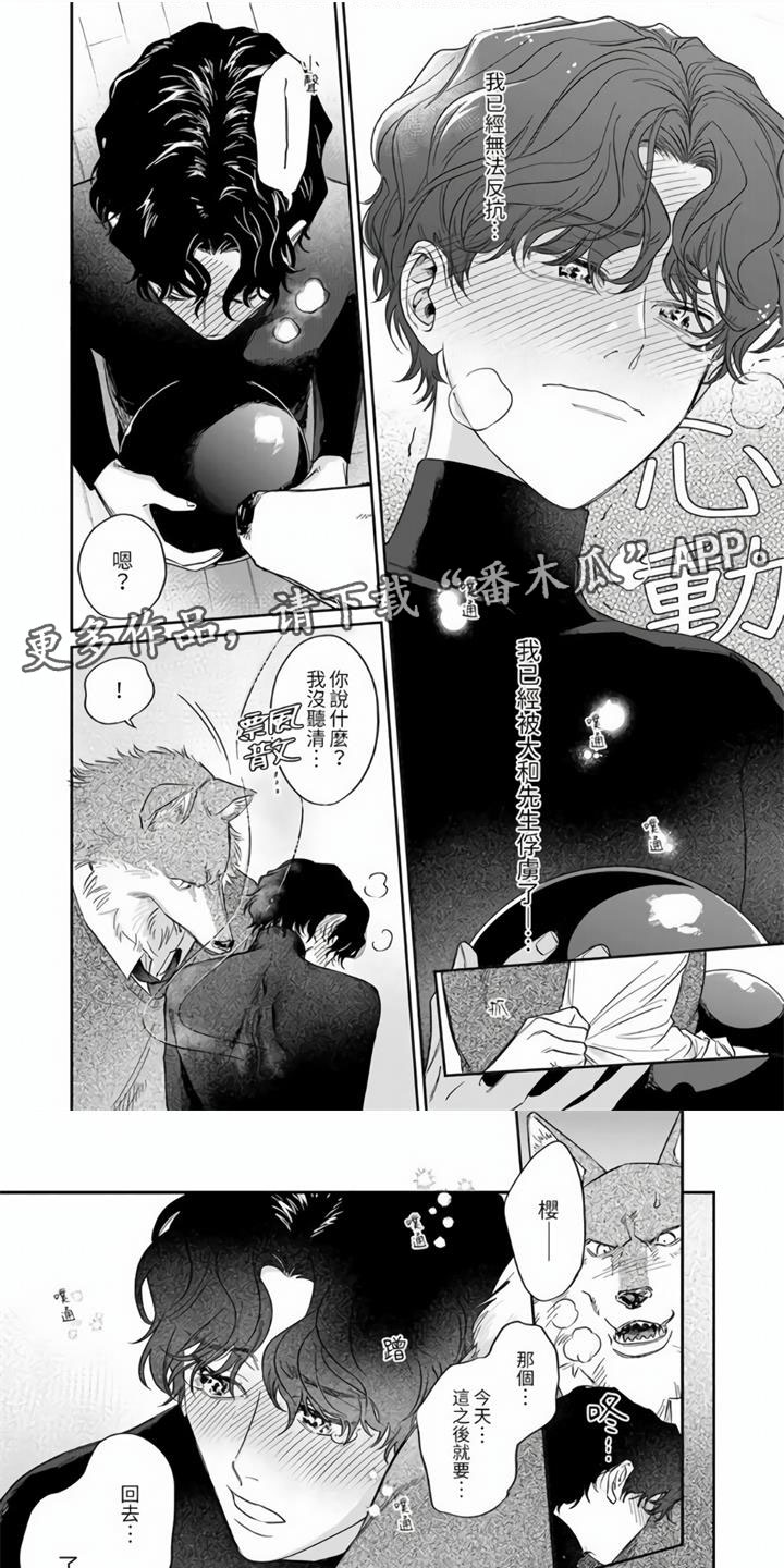 第8章：可爱的味道0