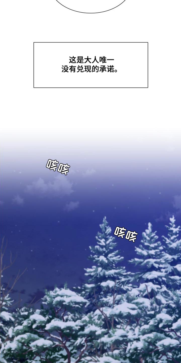第149章：【番外】唯一没有兑现的承诺26