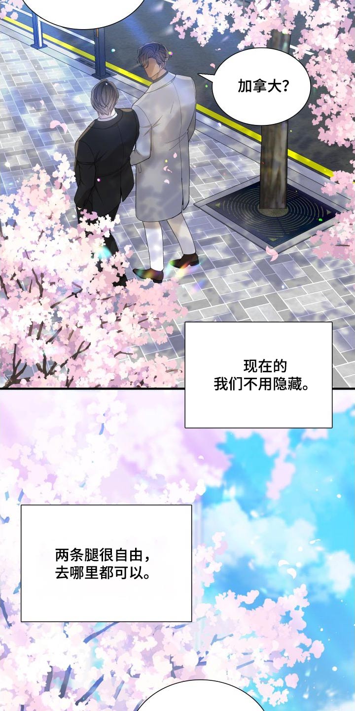 第163章：【番外】不用隐藏19