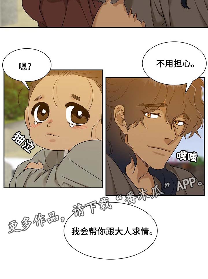 第71章：求情21