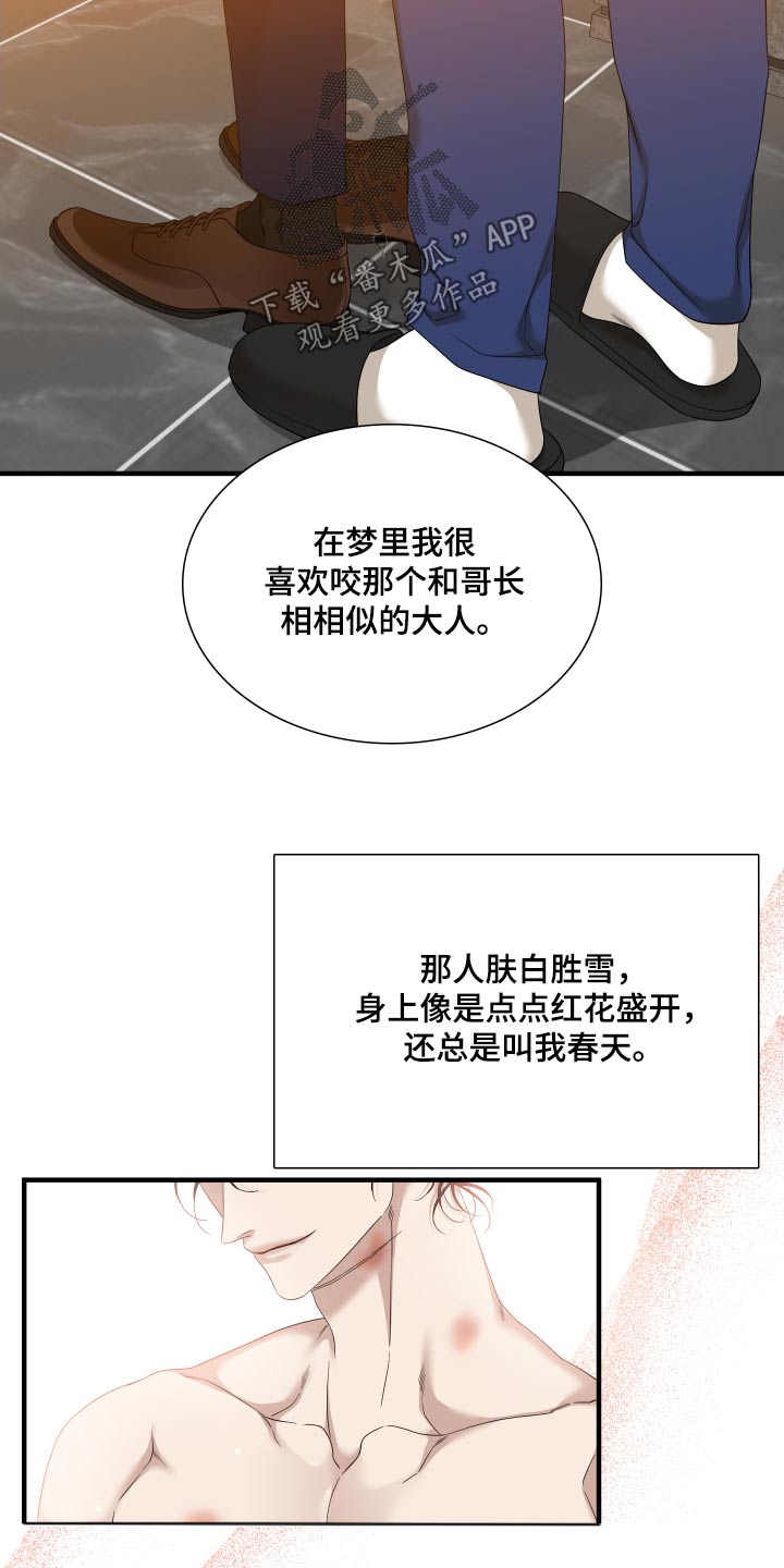 第161章：【番外】得忘记12
