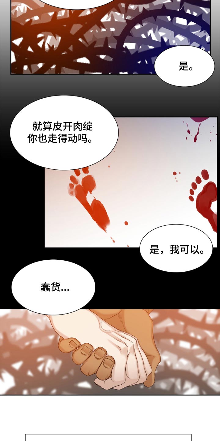 第120章：一起走吧6