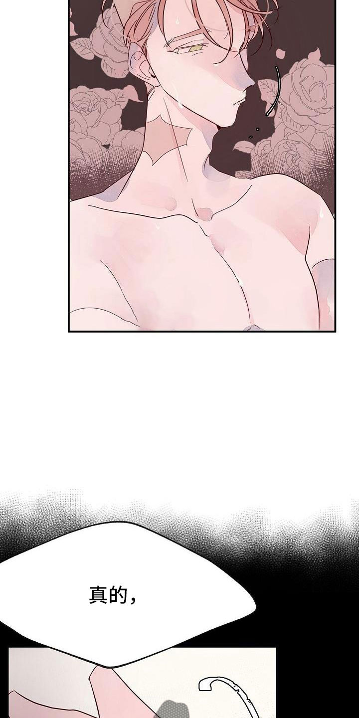 第26章：惊醒13