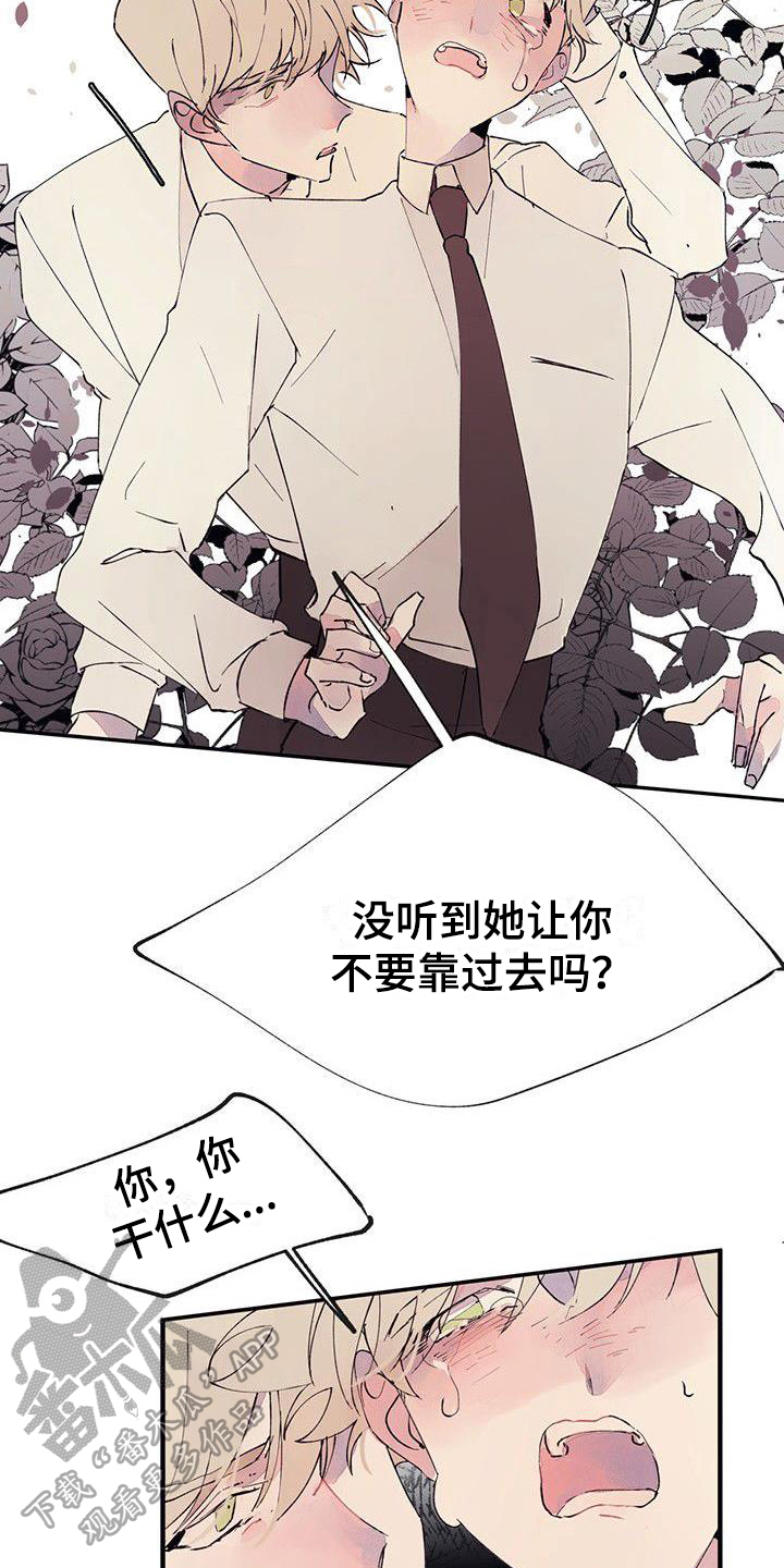 第4章：混乱9