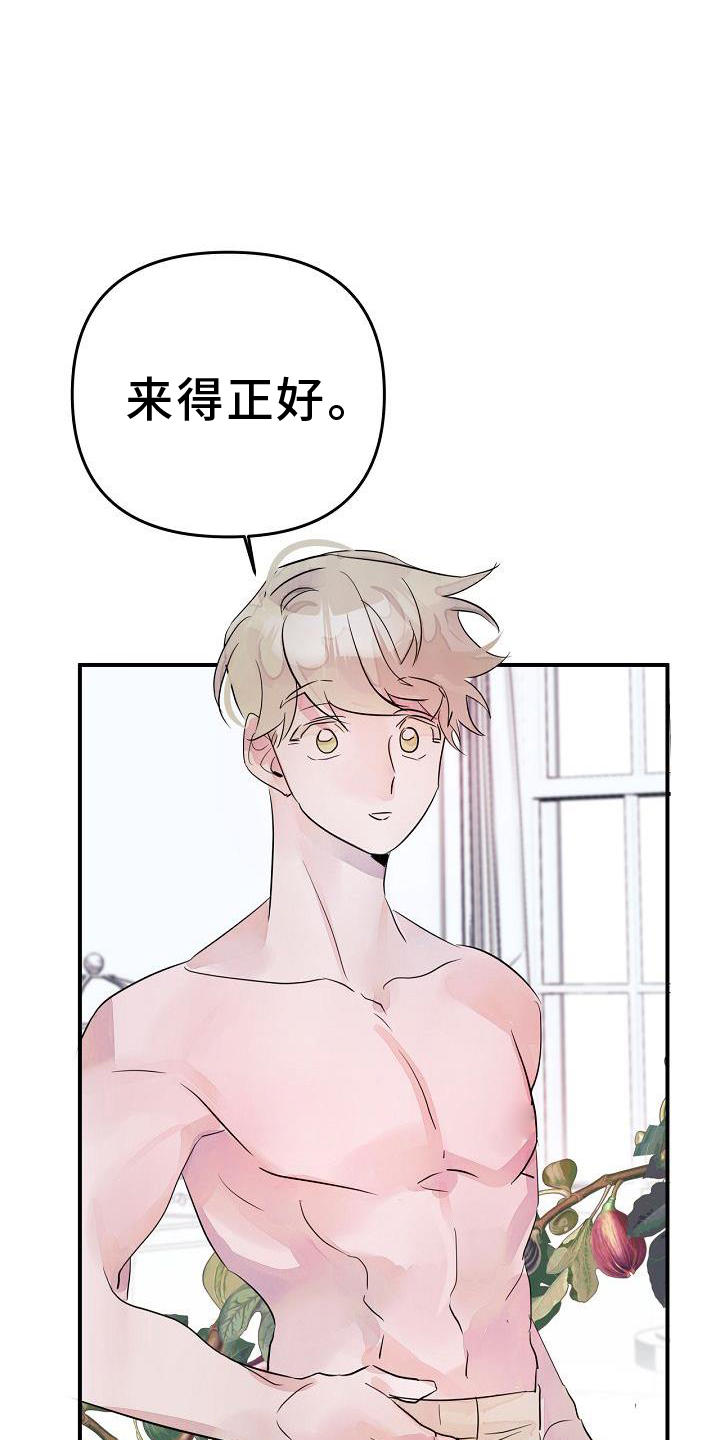 第48章：共同语言20
