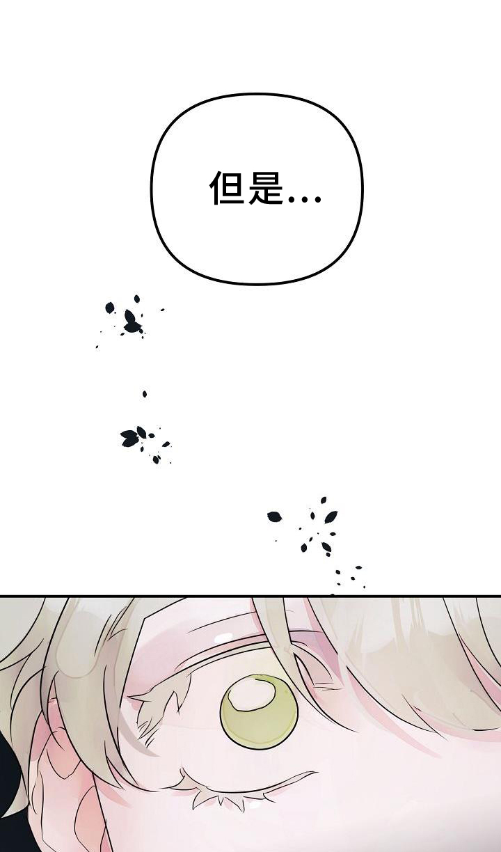 第50章：合体0
