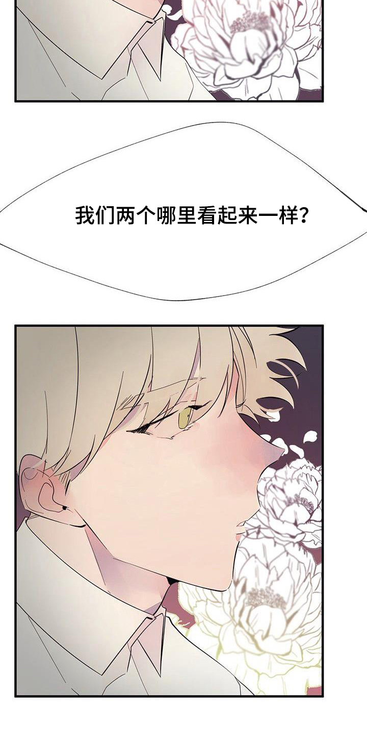 第7章：一样12