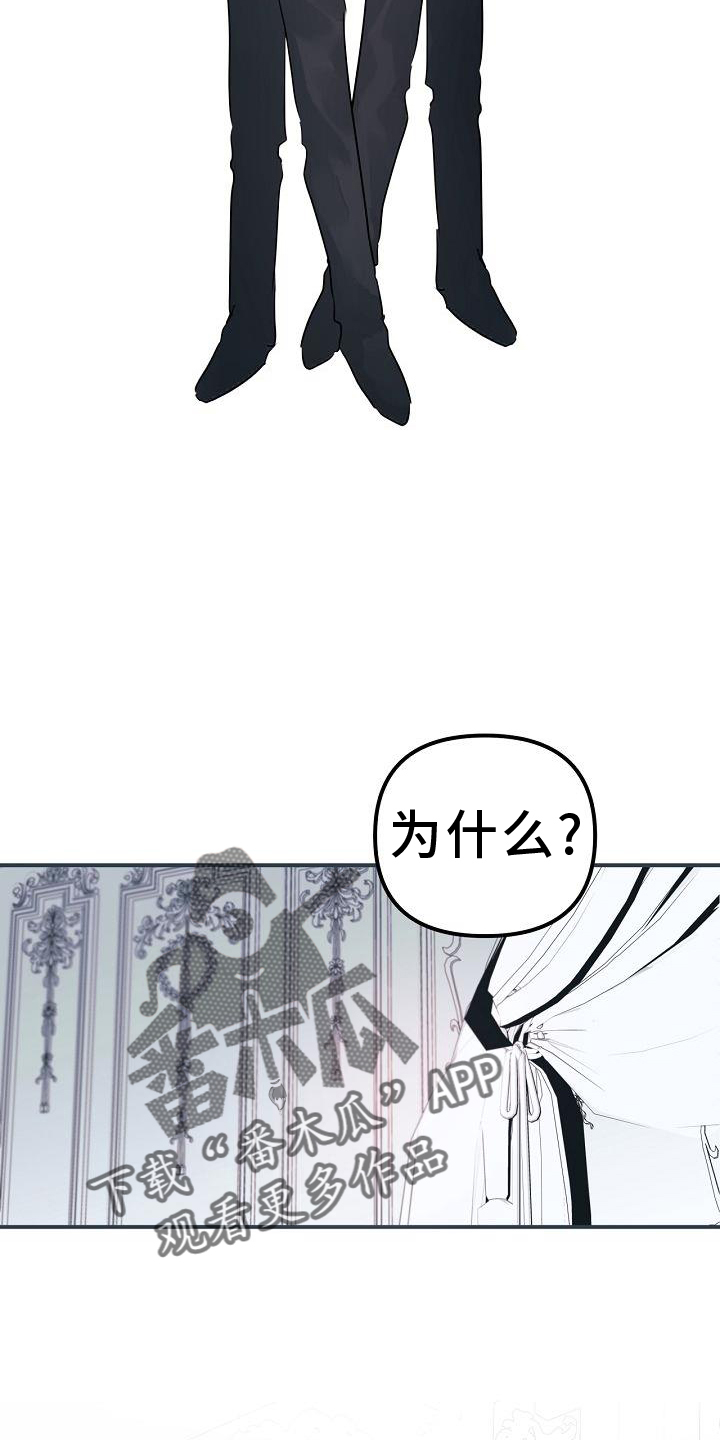 第50章：合体15