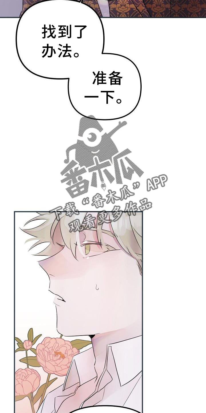 第50章：合体17