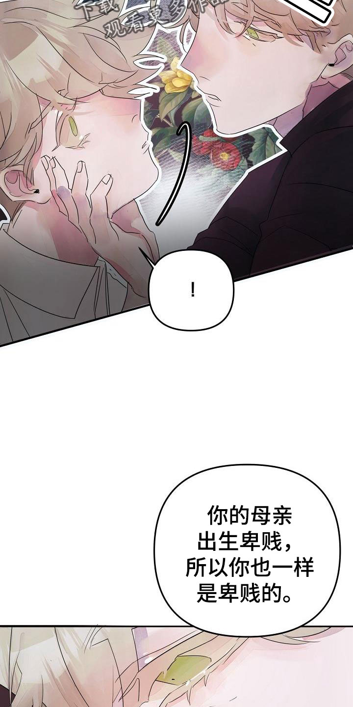 第41章：住手6