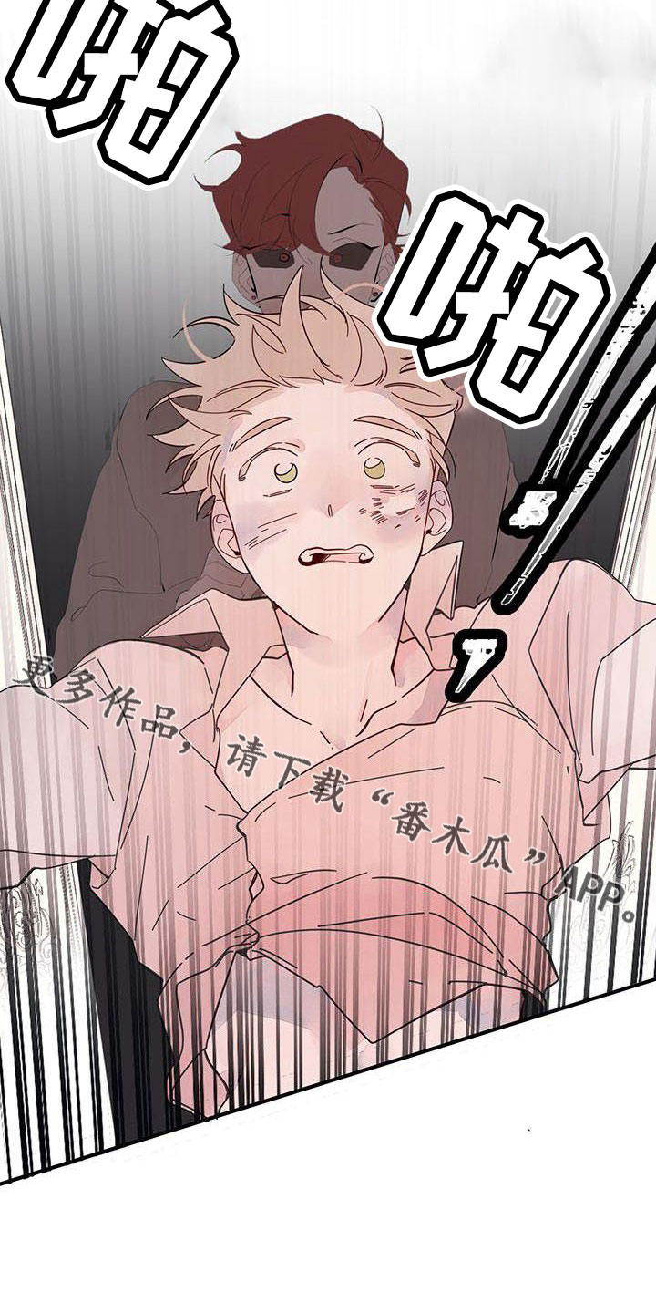 第20章：够了8