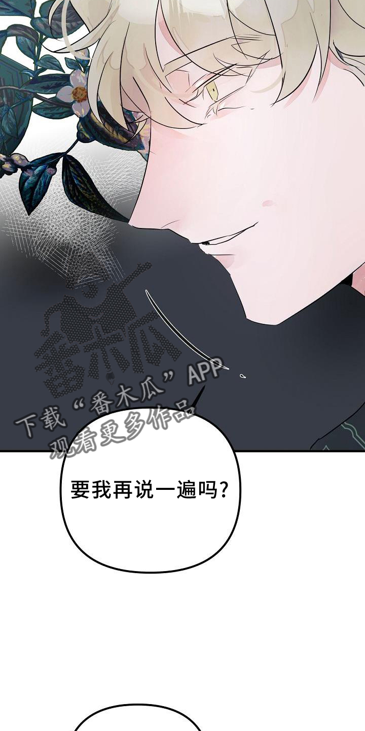 第49章：准确5