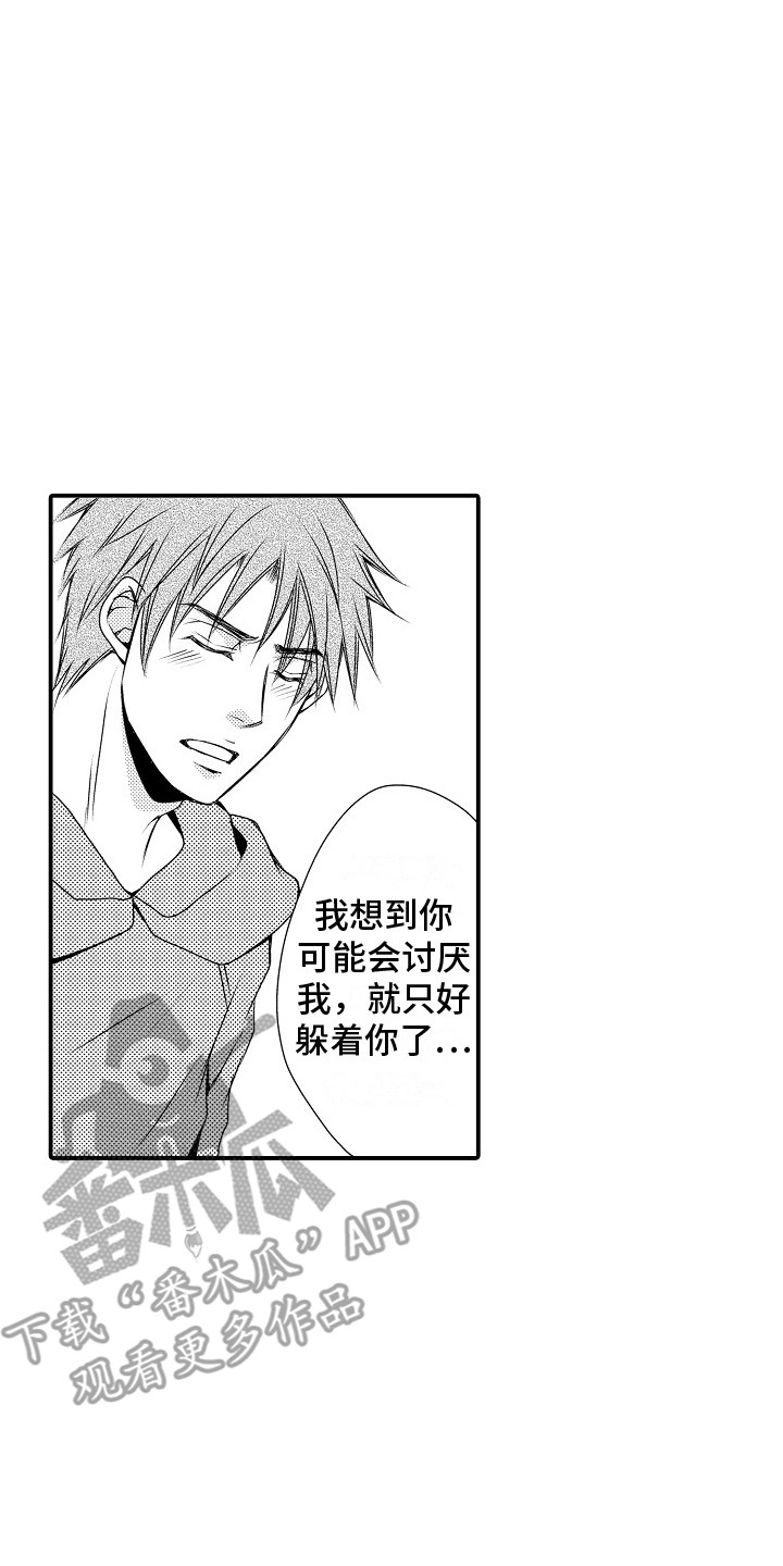 第9章：真实想法 19