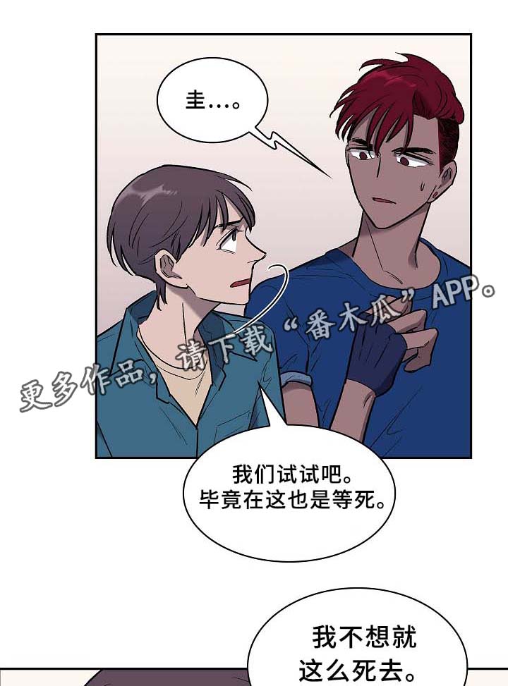 第62章：还有希望(完结)14