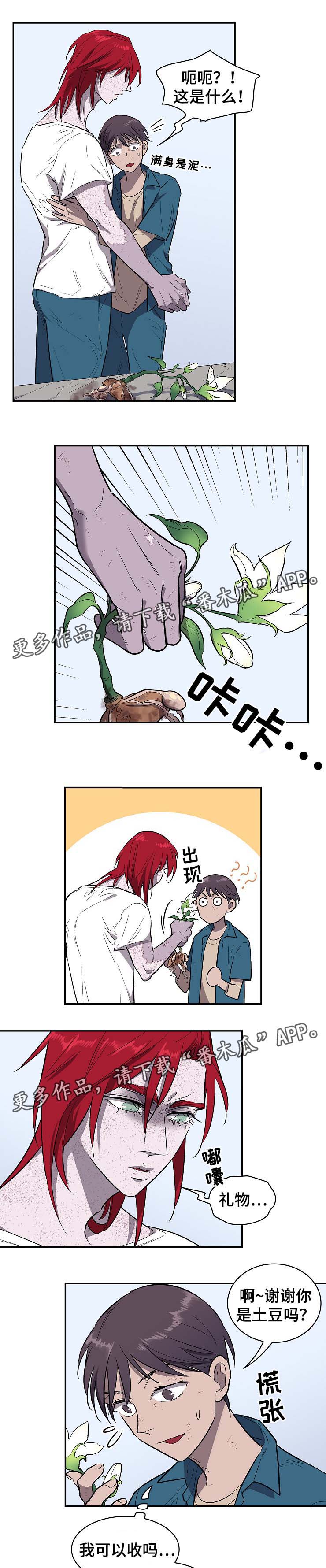 第34章：莱奥的回忆0