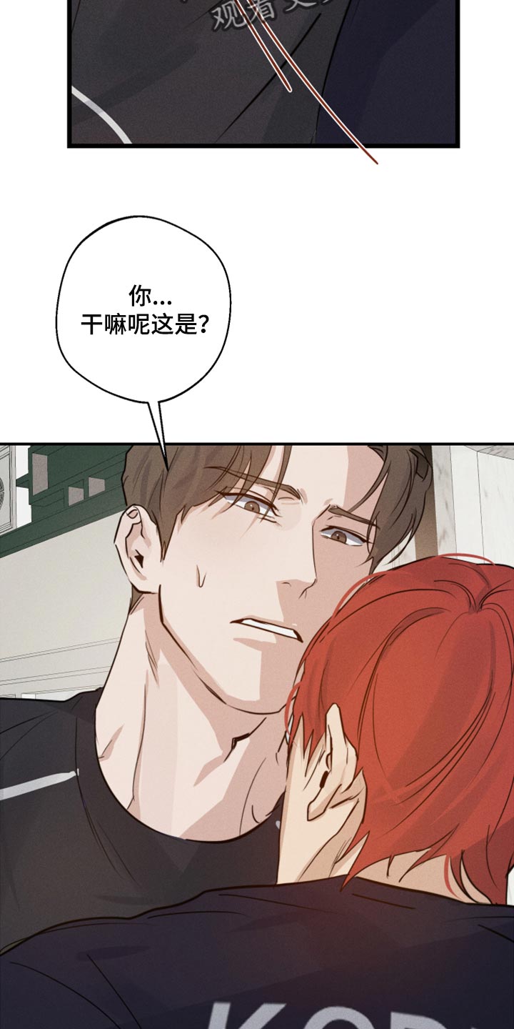 第29章：幻影29