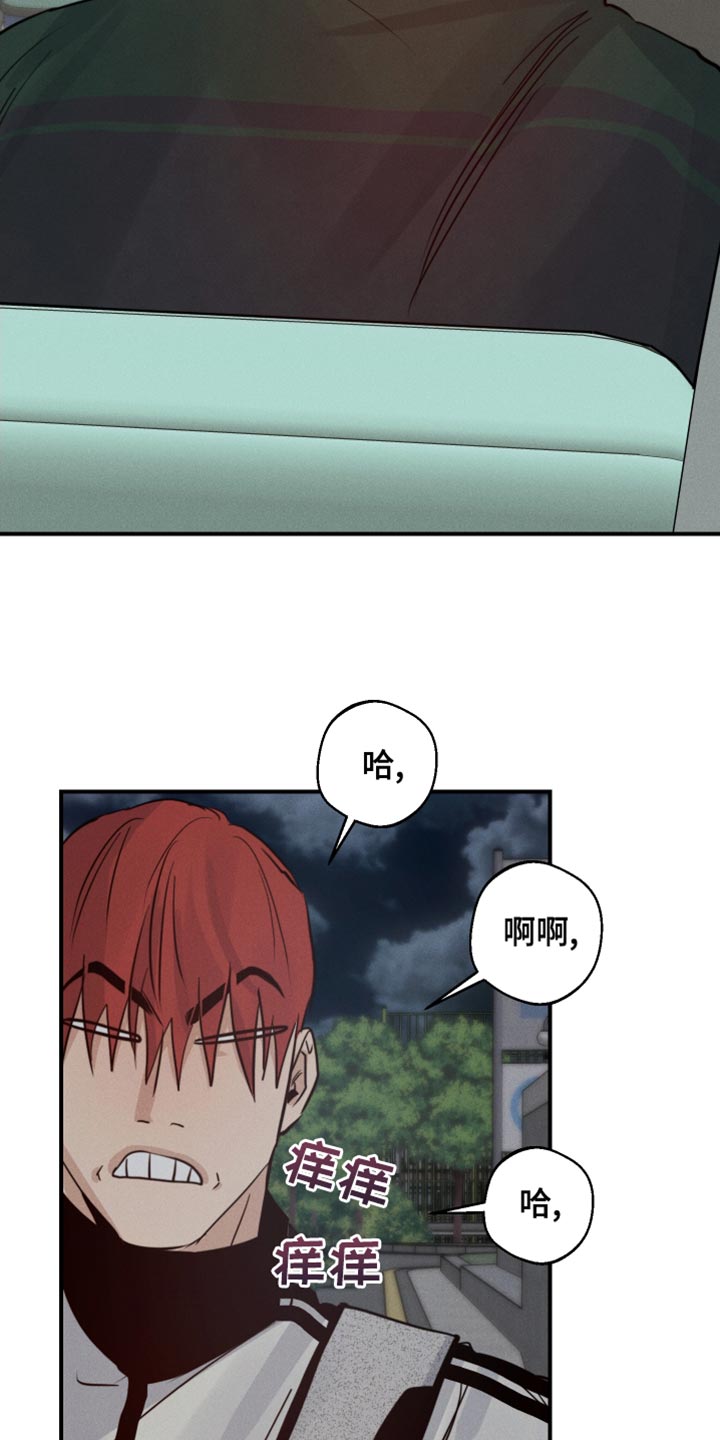 第45章：喜欢企鹅29