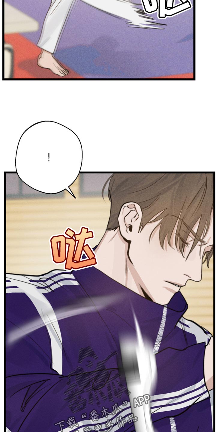 第21章：冲突13