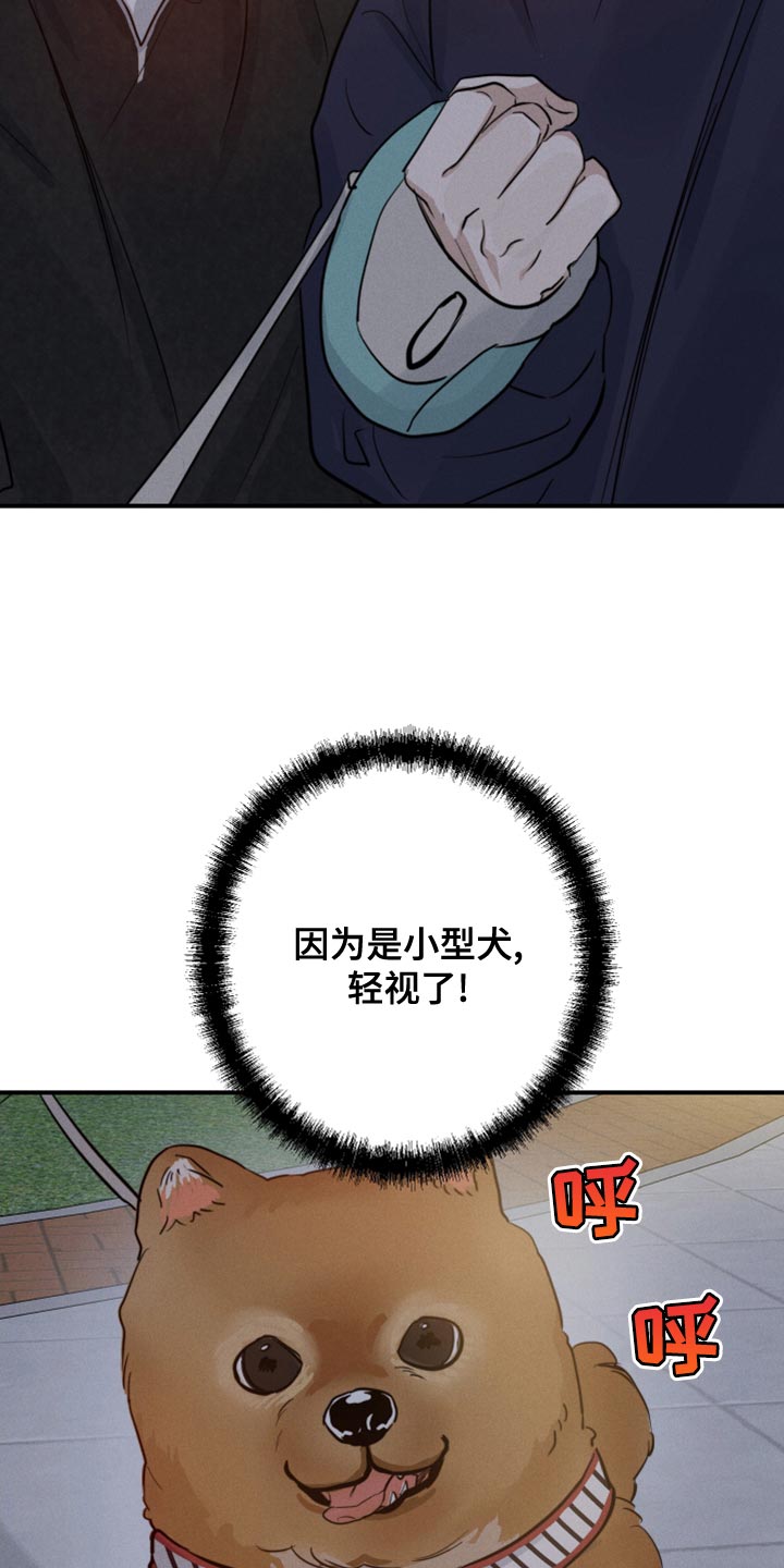 第50章：散步17