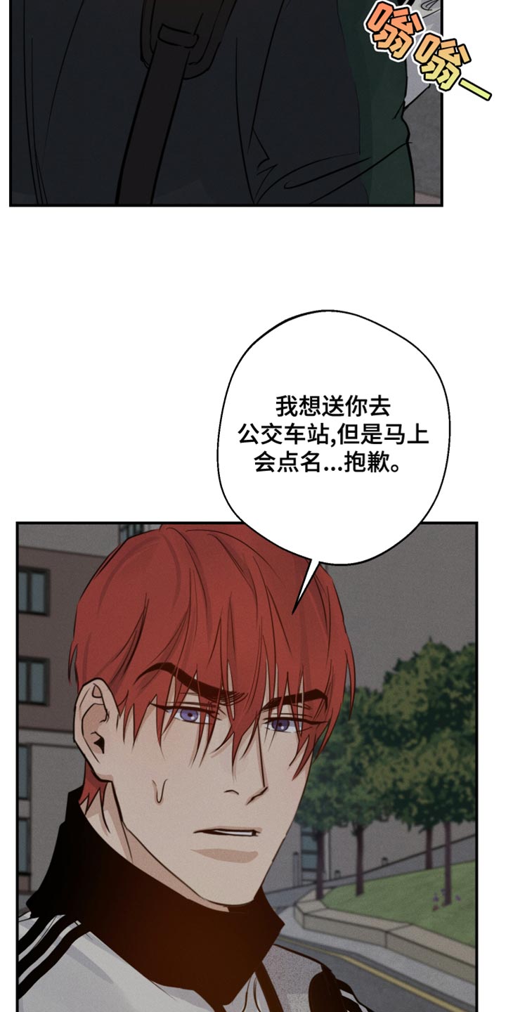 第45章：喜欢企鹅15