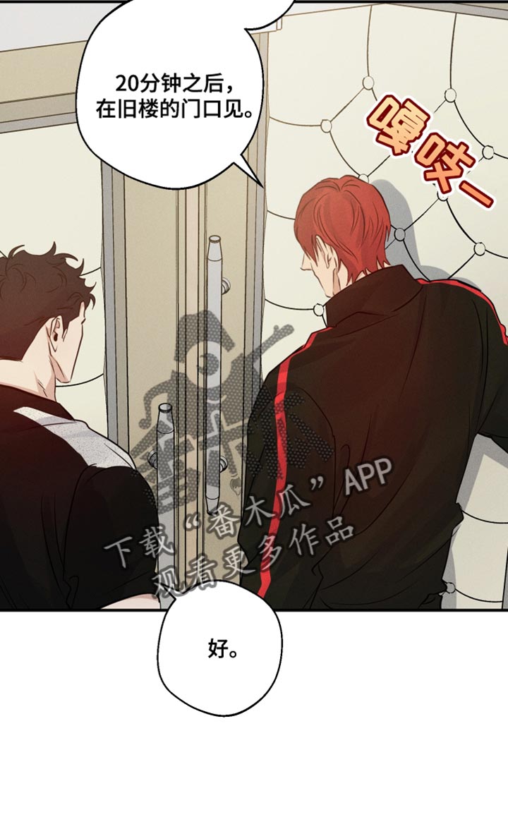 第67章：想问的事19