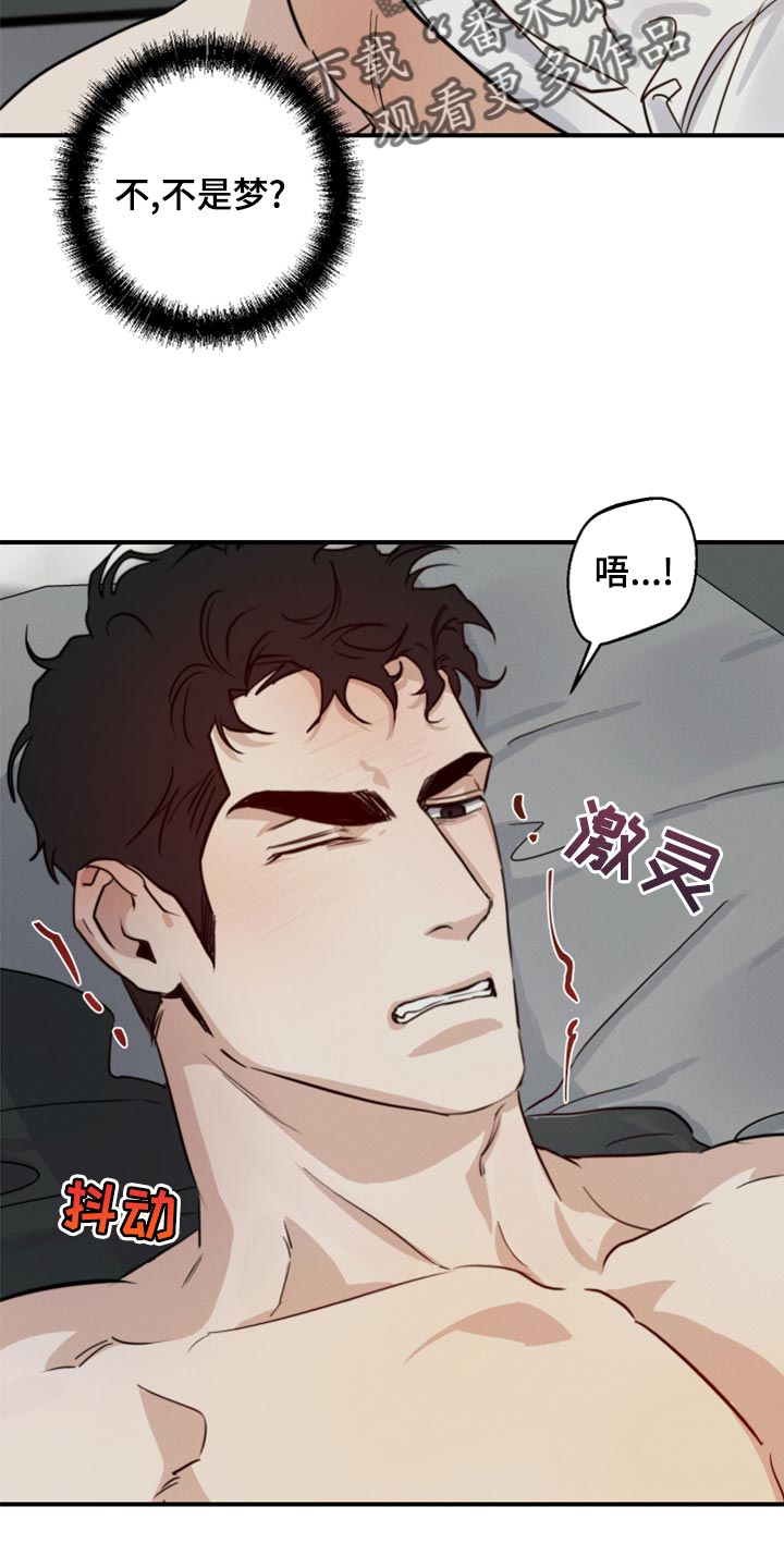 第40章：不是梦17