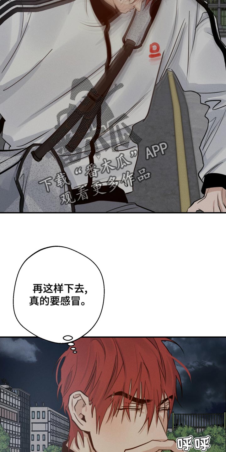 第45章：喜欢企鹅31