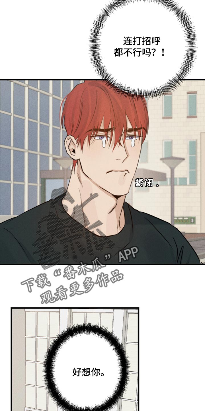 第29章：幻影19